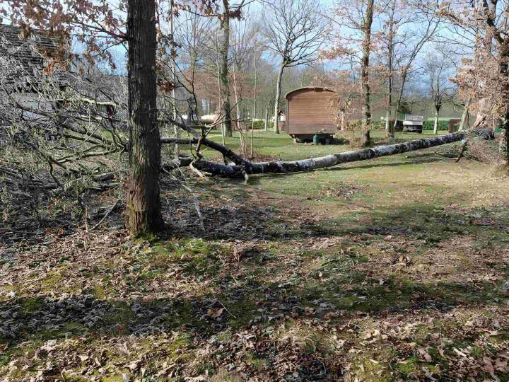 Travaux complets espaces verts Lamblore