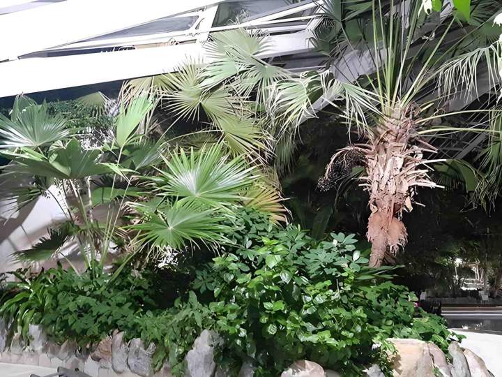 Aménagement jardin botanique Lamblore