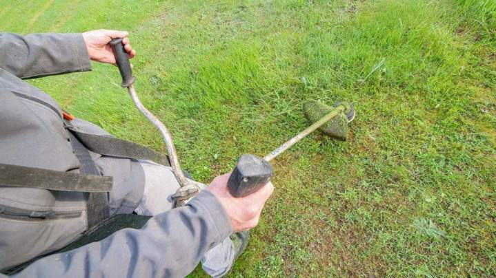 Jardin sur mesure Lamblore