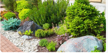 Amenagement paysager