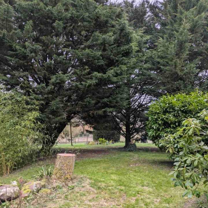 Aménagement espace vert Lamblore