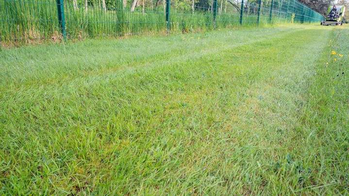 Espace extérieur bien entretenu Lamblore