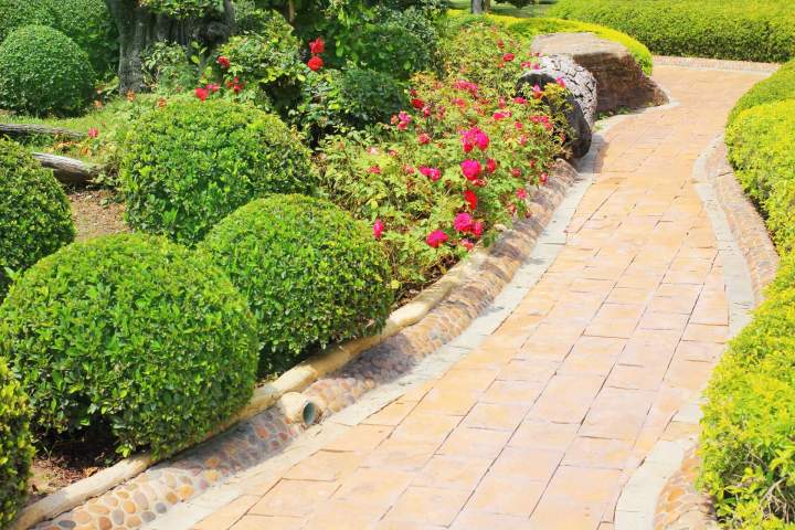 Aménagement paysager en intérieur Lamblore